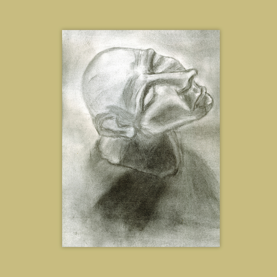 sketches